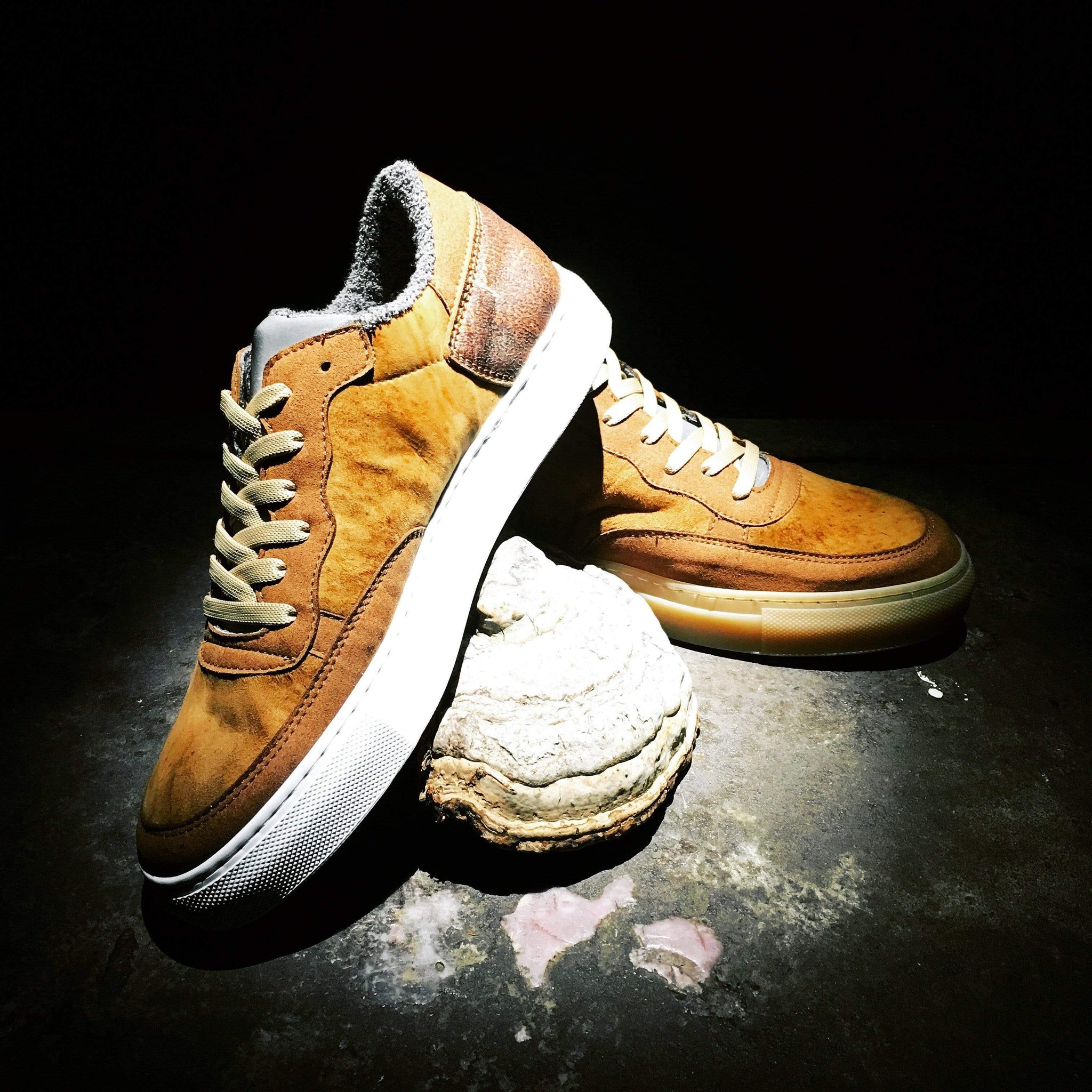 Fungi Sneakers in Fungus, Glass and Recycled PET Man-made Leather.